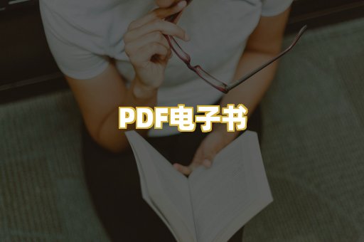 PDF电子书